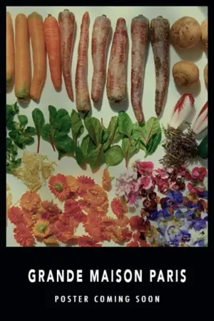 Poster to the movie "Grande Maison Paris" #587745