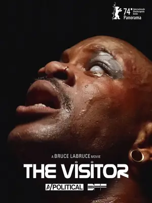 Poster to the movie "The Visitor" #756941