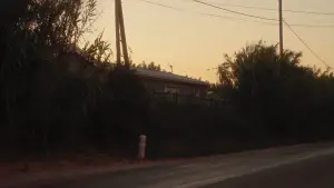 Backdrop to the movie "Crau" #777550