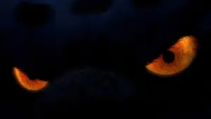 Backdrop to the movie "Kung Fu Panda" #569002