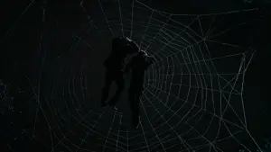 Backdrop to the movie "Spider-Man 3" #570561