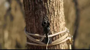 Backdrop to the movie "Lovehaters" #467618