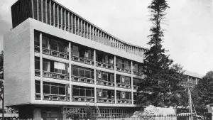 Backdrop to the movie "Birdemic : Champion Terror" #792016