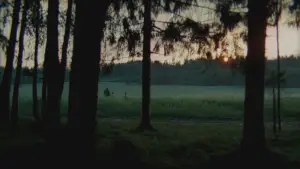 Backdrop to the movie "Mirror" #751463