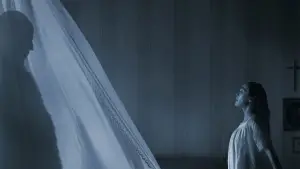 Backdrop to the movie "Nosferatu" #552841