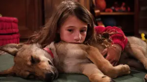 Backdrop to the movie "Vicky and Her Mystery" #237530