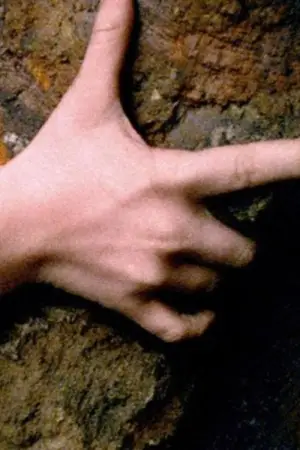 Poster to the movie "Souvenir" #715373