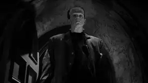 Backdrop to the movie "The Bride of Frankenstein" #897243