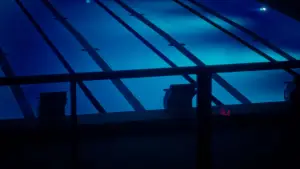 Backdrop to the movie "That Summer in Paris" #536513