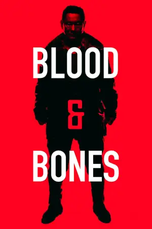 Poster to the movie "Blood and Bones" #949631