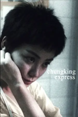 Poster to the movie "Chungking Express" #655611