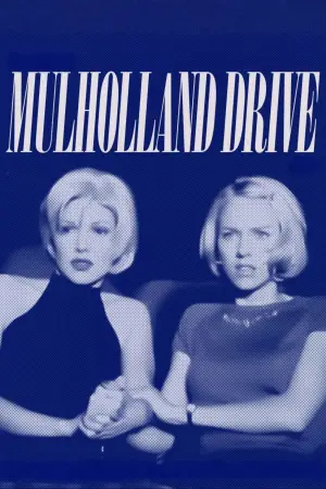 Poster to the movie "Mulholland Drive" #608840