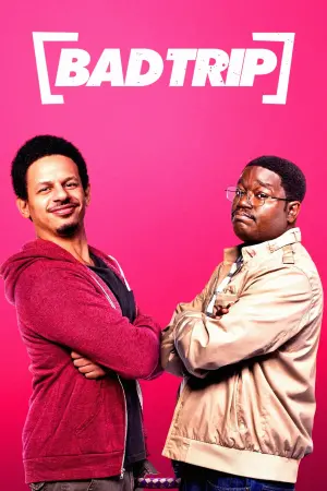Poster to the movie "Bad Trip" #127665