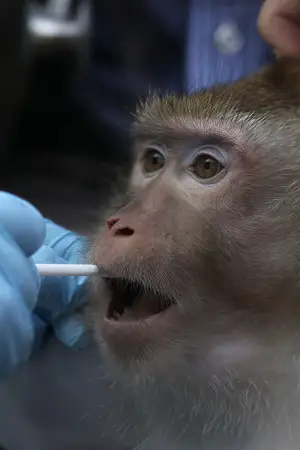 Poster to the movie "Sentient" #555695