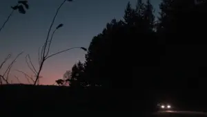 Backdrop to the movie "Girls Lost" #673582