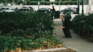 Backdrop to the movie "Kinds of Kindness" #591200