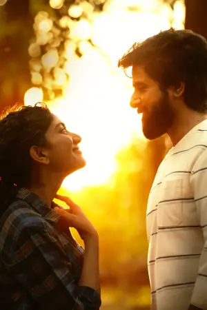 Poster to the movie "Amaran" #686590