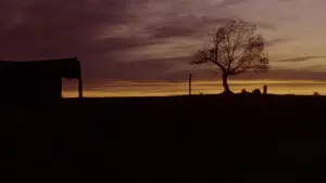 Backdrop to the movie "Unforgiven" #657919