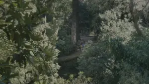 Backdrop to the movie "Together" #527882