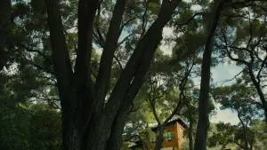 Backdrop to the movie "Beautiful Boy" #693597