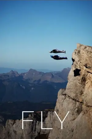 Poster to the movie "Fly" #700506