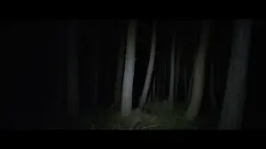 Backdrop to the movie "Don