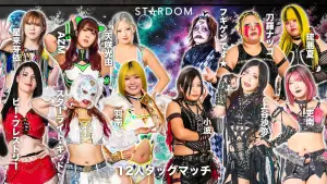 Backdrop to the movie "Stardom Nighter in Korakuen 2026 Mar.2" #792005