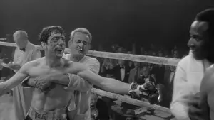 Backdrop to the movie "Raging Bull" #656103