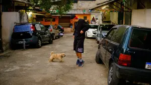 Backdrop to the movie "Terror Mandelão" #198282