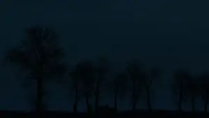 Backdrop to the movie "The Ugly Stepsister" #519178