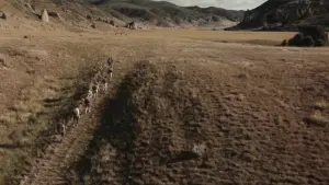 Backdrop to the movie "Thirst" #499926