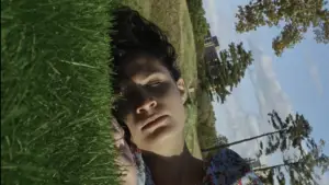 Backdrop to the movie "Willow World" #777815