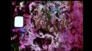 Backdrop to the movie "Denominador Comum" #483150