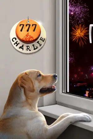Poster to the movie "777 Charlie" #538499