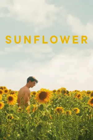 Poster to the movie "Sunflower" #820121