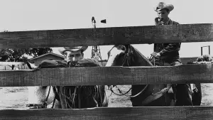 Backdrop to the movie "Hud" #623376