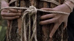 Backdrop to the movie "Secretary" #718461