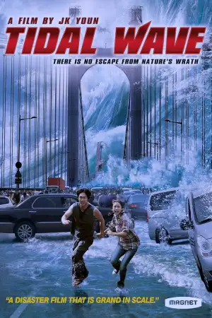 Poster to the movie "Haeundae" #872834