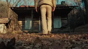 Backdrop to the movie "The Evil Dead" #637035