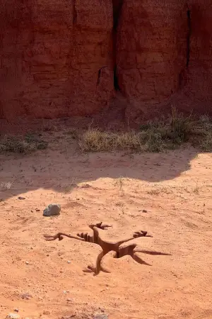 Poster to the movie "Coyote vs. Acme" #627562