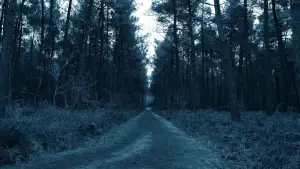 Backdrop to the movie "Void Madness" #777981