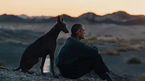 Backdrop to the movie "Black Dog" #600689