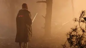 Backdrop to the movie "Red Sonja" #528552