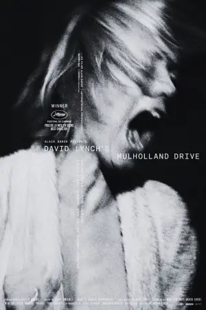 Poster to the movie "Mulholland Drive" #837011