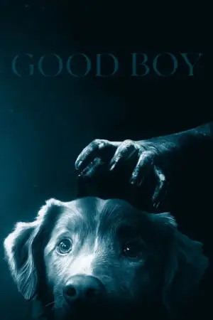 Poster to the movie "Good Boy" #798398