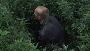 Backdrop to the movie "Stalker" #734101