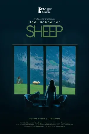 Poster to the movie "Sheep" #366753