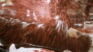 Backdrop to the movie "Kill Bill: The Whole Bloody Affair" #524377