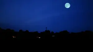 Backdrop to the movie "Friday the 13th Part 2" #855883