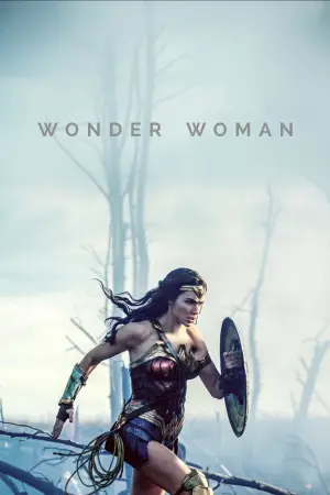 Poster to the movie "Wonder Woman" #559678